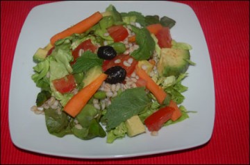 medium_salade-de-cereale-printenni.2.jpg