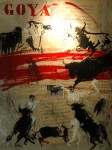 medium_GOYA_RASE_2.2.jpg