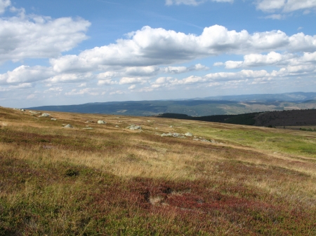 Les premiers matins de la Terre..