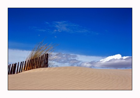 Ganivelles, de l'Espiguette à Maguelonne