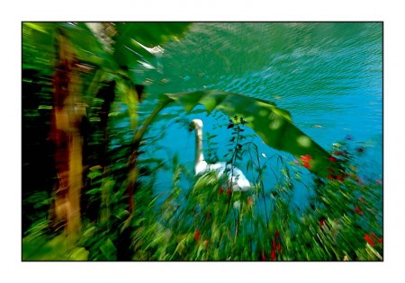 Le printemps aux Jardins