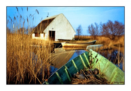 Petite Camargue