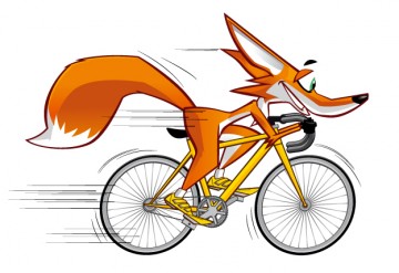 medium_Renard_velo.jpg