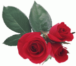 rose, rouge, St Valentin, amour 72de762e1046e1df00fce01e6e1925bd.gif