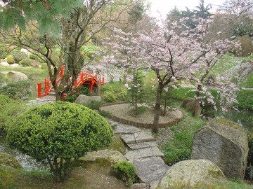 medium_jardin_japonais.jpg