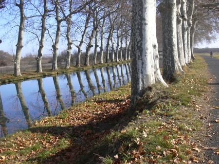 LE CANAL DU MIDI