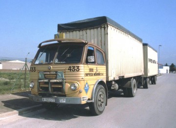medium_pegaso_1061_cabezon.jpg