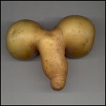 medium_Erotic_20Potato_20_Erotische_20Patatje_20_Small_.jpg